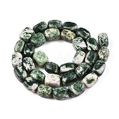 Natural Green Spot Jasper Beads Strands&nbsp;G-T138-96
