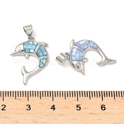 Brass Enamel Pendants&nbsp;KK-H534-01C-P