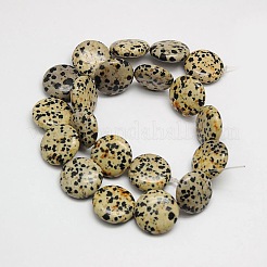 Natural Flat Round Dalmatian Jasper Beads Strands&nbsp;G-L246-11