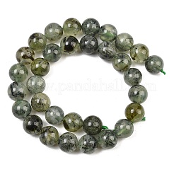Natural Prehnite Beads Strands&nbsp;G-P322-48-6mm