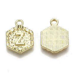Alloy Pendants&nbsp;PALLOY-N157-003Z-NR
