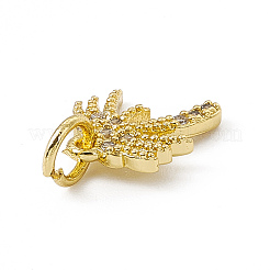 Brass Micro Pave Cubic Zirconia Charms&nbsp;ZIRC-F132-41G