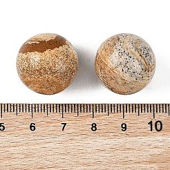 Natural Picture Jasper Sphere Beads&nbsp;GG-D003-A23