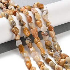 Natural Crazy Agate Beads Strands&nbsp;G-P497-01C-08