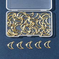 40Pcs 304 Stainless Steel Charms&nbsp;STAS-FS0001-51