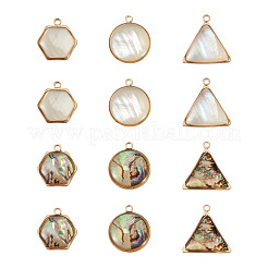 12Pcs 6 Styles Natural Shell Pendant Sets&nbsp;SHEL-CD0001-03