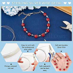 1Pc 999 Fine Silver Wire&nbsp;STER-BC0001-66A