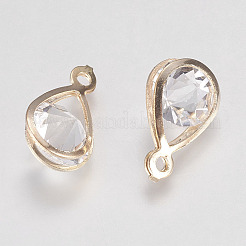 Glass Rhinestone Pendants&nbsp;IFIN-F144-24G