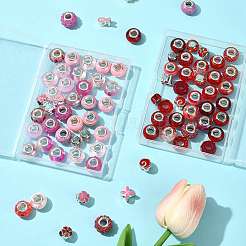 40Pcs 20 Styles Resin & Glass European Beads&nbsp;RPDL-FS0001-04
