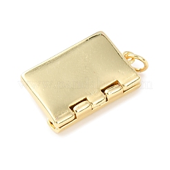 Eco-Friendly Rack Plating Brass Pendants&nbsp;X-KK-F848-08G