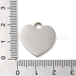 Non-Tarnish 304 Stainless Steel Pendants&nbsp;STAS-K270-27B-P