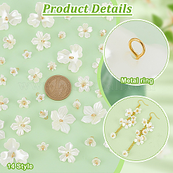Acrylic Pendants&nbsp;PALLOY-PH01692
