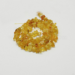 Natural Amber Chip Beads Strands&nbsp;G-E333-01B
