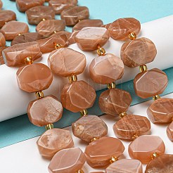 Natural Sunstone Beads Strands&nbsp;G-G072-A03-02