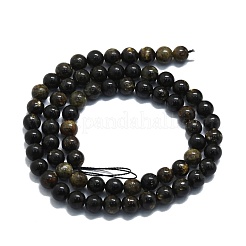 Natural Biotite Beads Strands&nbsp;G-P457-C02-01
