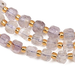 Natural Purple Phantom Quartz/Purple Lodolite Quartz Beads Strands&nbsp;G-Z147-A04-01