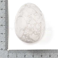 Natural Howlite Palm Stones&nbsp;G-I367-04B