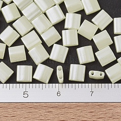 MIYUKI TILA Beads&nbsp;SEED-JP0008-TL0513