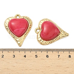 304 Stainless Steel & Resin Pendants&nbsp;STAS-G371-18G-05