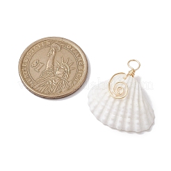 Natural Ark Shell Copper Wire Wrapped Pendants&nbsp;PALLOY-JF02678-01