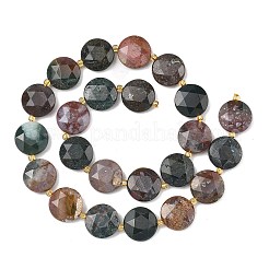 Natural Indian Agate Beads Strands&nbsp;G-A292-A11-01