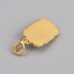 Alloy Enamel Pendants&nbsp;FIND-WH0148-843B