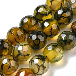 Natural Agate Beads Strands&nbsp;G-C082-A01-16