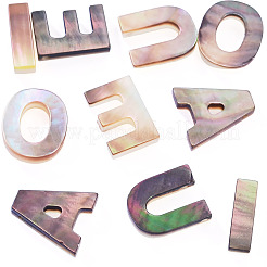 10Pcs 5 Styles Natural Black Lip Shell Beads&nbsp;SSHEL-TA0001-25