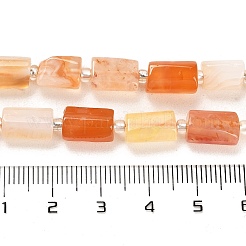 Natural Red Botswana Agate Beads Strands&nbsp;G-G068-A18-01