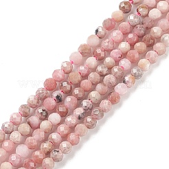 Natural Rhodonite Bead Strands&nbsp;G-A129-2mm-21