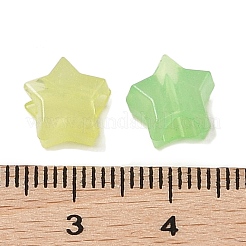 Luminous Acrylic Beads&nbsp;OACR-H119-04