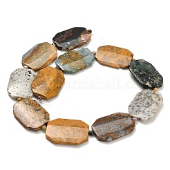 Natural Ocean Agate/Ocean Jasper Beads Strands&nbsp;G-H335-C03
