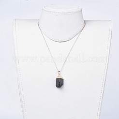 Natural Tourmaline Pendant Necklaces&nbsp;NJEW-JN02425