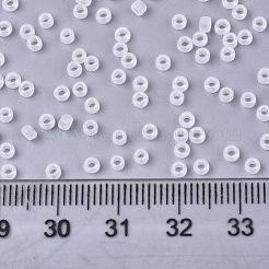 Opaque Glass Seed Beads&nbsp;X-SEED-S042-12A-01