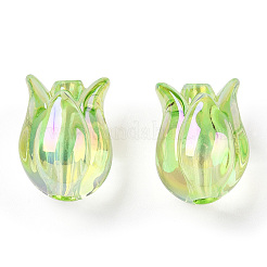 Transparent Acrylic Beads&nbsp;TACR-ZX019-07C