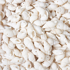 Natural Trumpet Shell Beads&nbsp;BSHE-KS0001-01
