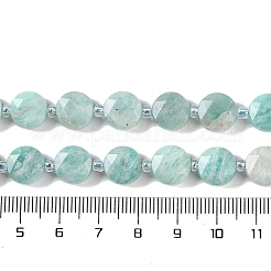 Natural Amazonite Beads Strands&nbsp;G-N342-18