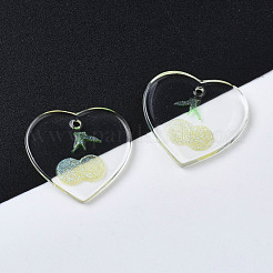 Transparent Resin Pendants&nbsp;RESI-N030-002B