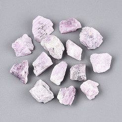 Natural Kunzite Display Decorations&nbsp;G-N347-11A