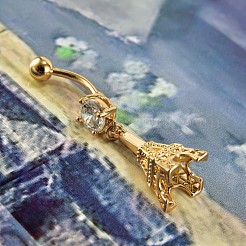 Piercing Jewelry&nbsp;AJEW-EE0006-74A-G