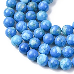 Natural Howlite Beads Strands&nbsp;G-H343-D06-12mm-B