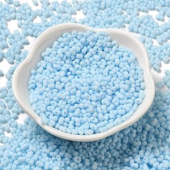 Glass Frosted Seed Beads&nbsp;SEED-K009-05B-09