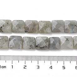 Natural Labradorite Beads Strands&nbsp;G-K359-B17-01