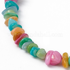 Dyed Natural Freshwater Shell Beads Strands&nbsp;BSHE-G033-05