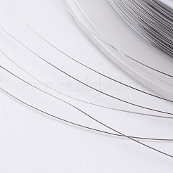 Steel Wire&nbsp;TWIR-E001-0.15mm