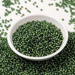 MIYUKI Round Rocailles Beads&nbsp;SEED-JP0009-RR3764