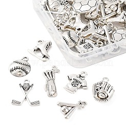 48Pcs 12 Styles Tibetan Style Alloy Pendants&nbsp;TIBE-FP0001-15