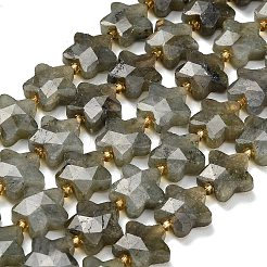 Natural Gray Labradorite Beads Strands&nbsp;G-L657-A02-01