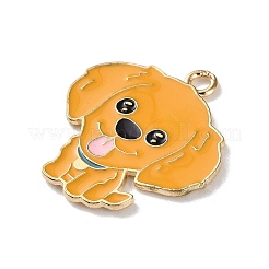 Alloy Enamel Pendants&nbsp;FIND-I047-01KCG-06