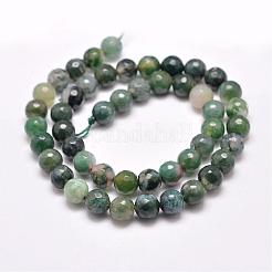 Natural Moss Agate Beads Strands&nbsp;G-F350-6mm